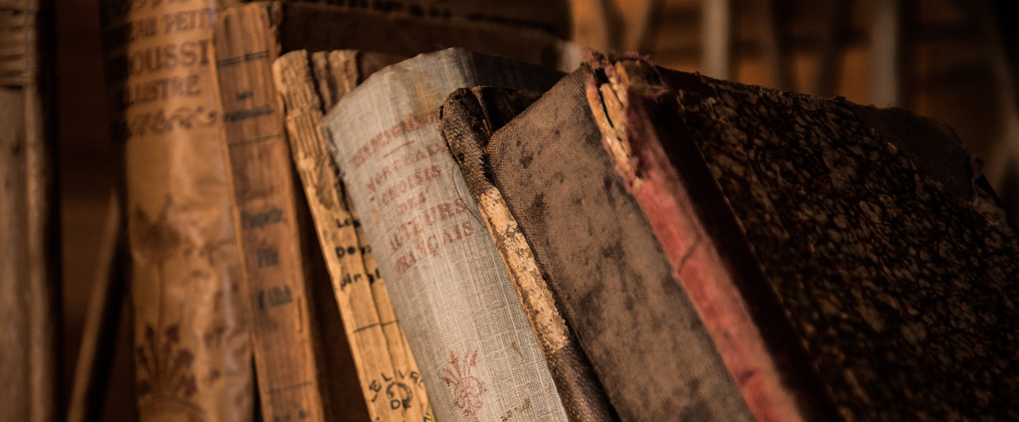 Language gaining knowledge of into your day by day lifestyles 2