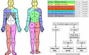 Physical Exam Template for Nurse Practitioner 6